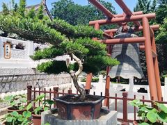 -大慈恩寺(大雁塔)