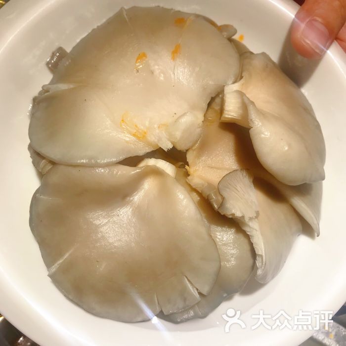 老渝头毛肚火锅(鲁邦风情街店)-鲜平菇图片-青岛美食-大众点评网