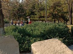 -元大都城垣遗址公园