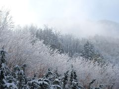 -终南山国家森林公园