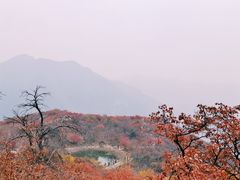 -周口店坡峰岭风景区