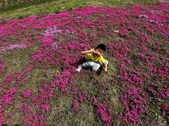 -兰陵国家农业公园