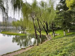 -后襄河公园