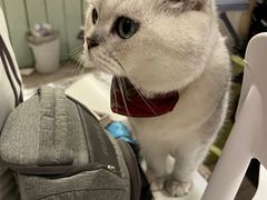 -小时光咖啡馆(北锣鼓巷店)