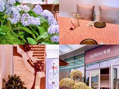 环境-La Terre乐田(万象城店)