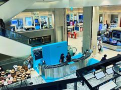 -新世界百货(明洞总店)