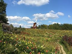 -北纬44度·金珠花海休闲农业旅游景区