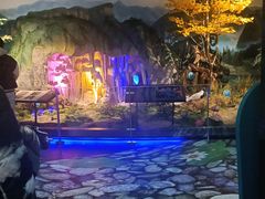 -湖南省地质博物馆