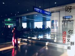 -哈尔滨太平国际机场