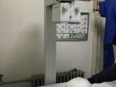-美联众合爱康动物医院•复杂内科•肿瘤科•牙科•腔镜诊疗中心