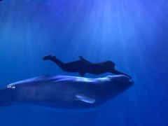 -多彩贵州城极地海洋世界