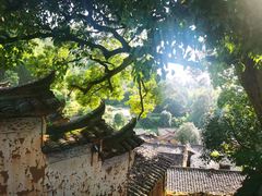 -杨家堂村