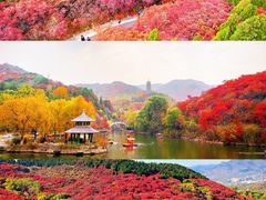 -沉浸北京·团建旅行·密室剧本杀·年会会议轰趴拓展