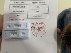 -思琪宠物医院(昆山花桥店)