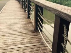 -九里河湿地公园