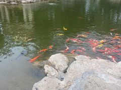 -青岛鑫江温德姆酒店