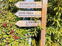 -上海崇明金茂凯悦酒店