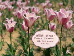 -江南大学(蠡湖校区)