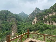 -大岭沟猕猴桃谷风景区