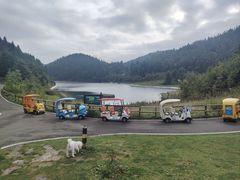 -武陵山森林公园