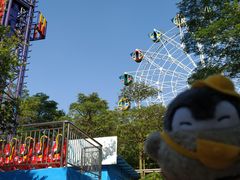 景点-广东茂名森林公园