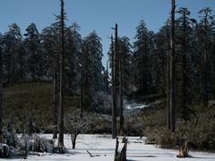 -瓦屋山景区