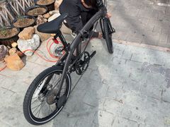 -道路口单车爱瓦士dahon大行