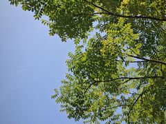 -洋湖国家湿地公园