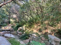 -北京西山国家森林公园