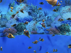 -海合安成都极地海洋公园