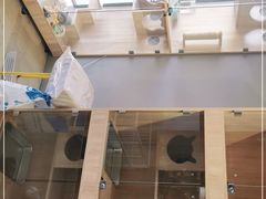 -熊小胖宠物生活馆(天华园店)