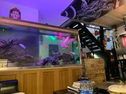 -雕哥的纹身店A3 TATTOO&纹身培训
