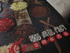 -雲蜀龙阁·金牌水煮鱼(方庄店)