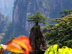 -黄山风景区
