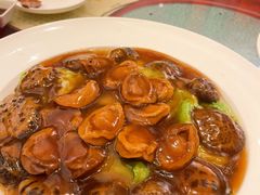 -美心皇宫(屯门大会堂店)