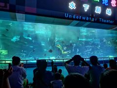 -泉城欧乐堡海洋极地世界
