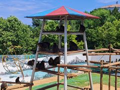 -西霞口神雕山野生动物世界