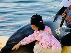 -秦皇岛乐岛海洋王国