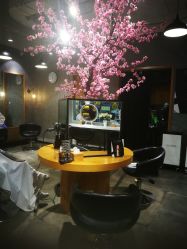 -时尚殿堂明星门店