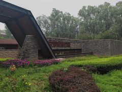 -东郊湿地公园