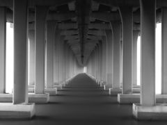 -宝安西湾红树林湿地公园