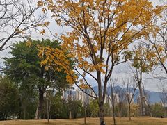 -牛岗山公园