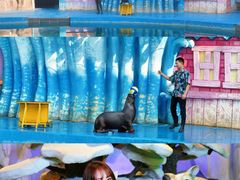 -华夏文旅海洋公园