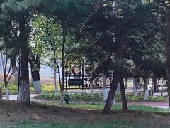 -金星公园