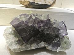 -河南自然博物馆