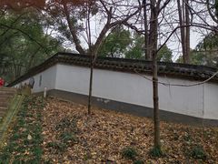 -上海佘山国家森林公园天马山园