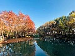 -尚贤河湿地