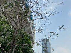 -天河体育中心游泳馆