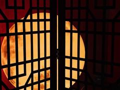 -JZ Club 爵士酒吧(上海店)
