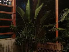 -谷咖啡·鲜花绿植花园餐厅